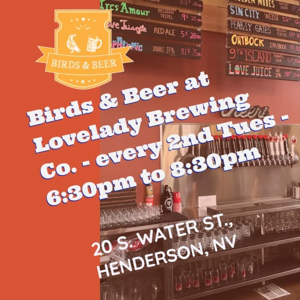 Birds and Beer banner